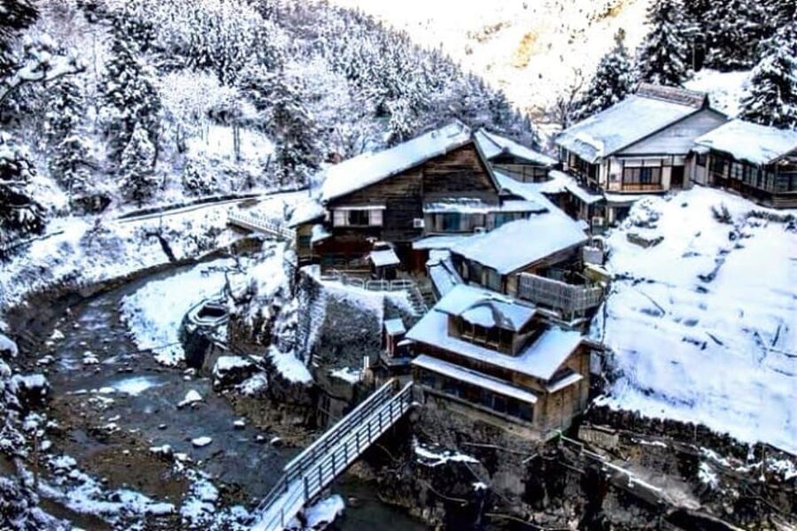 From Tokyo: Snow Monkey Private Customize Day Tour - Matsumoto adds another major detour