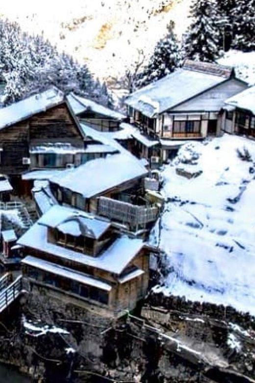 From Tokyo: Snow Monkey Private Customize Day Tour - Who should book this day tour?