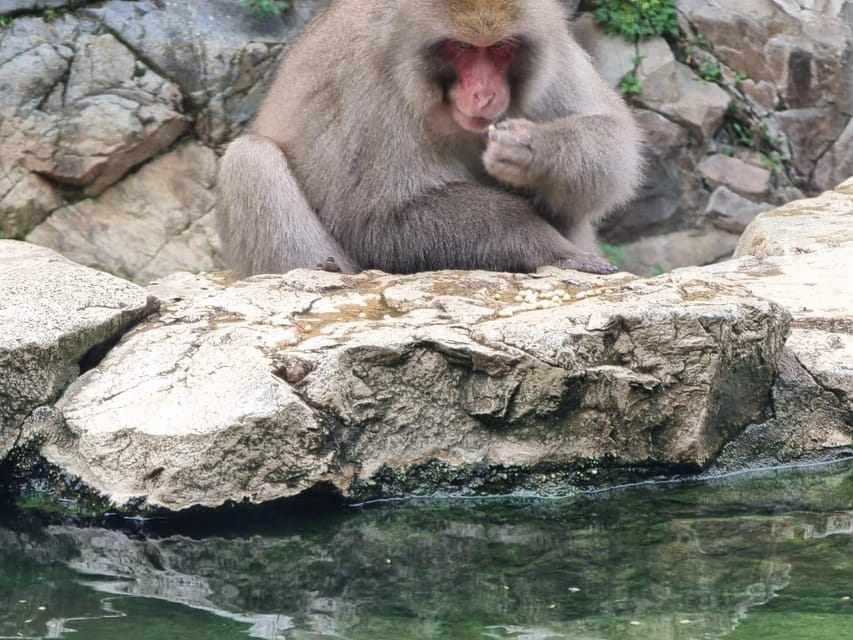 From Tokyo: Snow Monkey Private Customize Day Tour - The long ride to Jigokudani