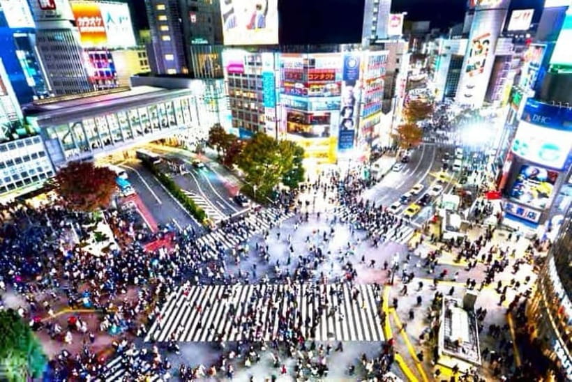 From Tokyo: Tokyo Private Customize Tour With English Driver - Why a private car works well for a first Tokyo day