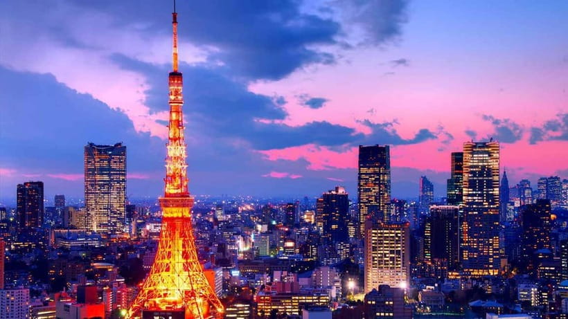 From Tokyo: Tokyo Private Customize Tour With English Driver - Tsukiji Outer Market and the practical side of food