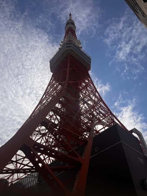 From Tokyo: Tokyo Private Customize Tour With English Driver - Meiji Shrine and the quiet side of Tokyo