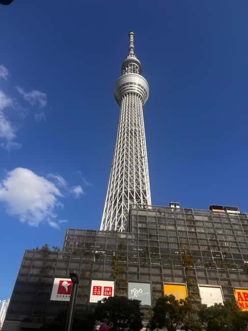 From Tokyo: Tokyo Private Customize Tour With English Driver - The Imperial Palace and East Gardens