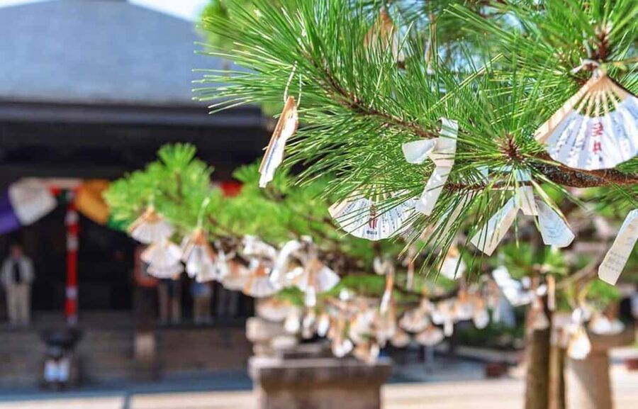 FromOsaka/Kyoto:Hiroshima & Miyajima Private Tour with Lunch - Booking flexibility and practical details