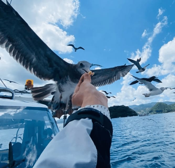 FromOsaka/Kyoto:Hiroshima & Miyajima Private Tour with Lunch - The long ride from Osaka or Kyoto
