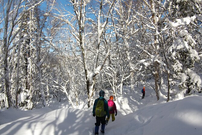 Frozen fall trekking - Why the private format matters at $180.64