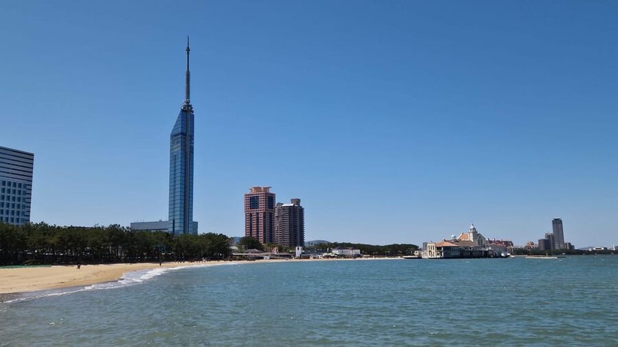 Fukuoka: Customized Tour with Local Guide - Who will get the most from this tour