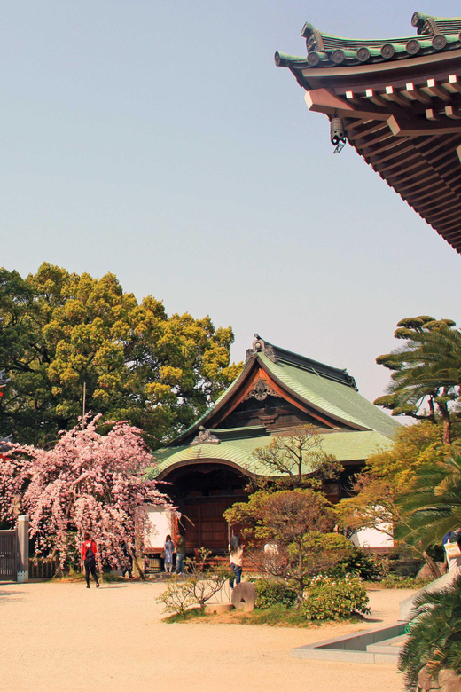 Fukuoka Essentials: History, Culture, & Charms - Meeting near Hakata Station