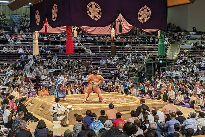 Fukuoka Sumo Tournament November 2025 with a Sumo Expert Guide - Why an expert changes the Fukuoka sumo experience