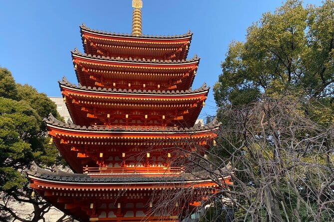 Fukuoka Takachiho Gorge, Amano Iwato and Scenic Train Tour - Fitness, clothing, and group pace