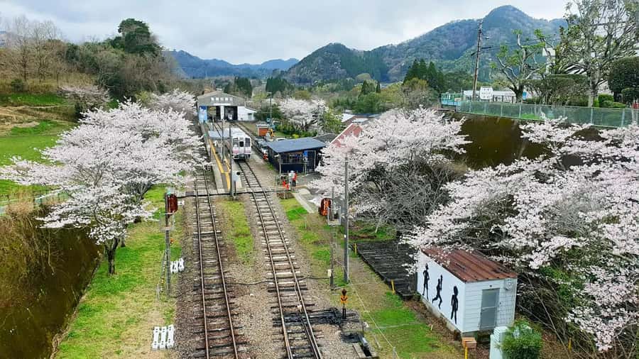 Fukuoka: Takachiho Gorge & Scenic Railway One Day Tour - What the guide and bus service add