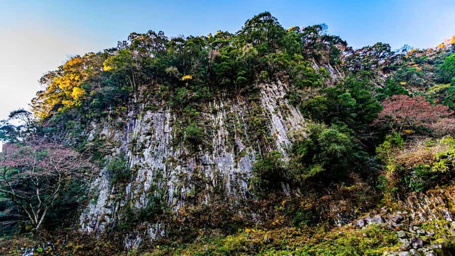 Fukuoka: Takachiho Gorge & Scenic Railway One Day Tour - Who should book, and who should skip it