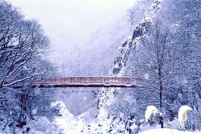 Full Day Private Skiing / Snowboarding Tour in Sapporo - A private snow day from Sapporo