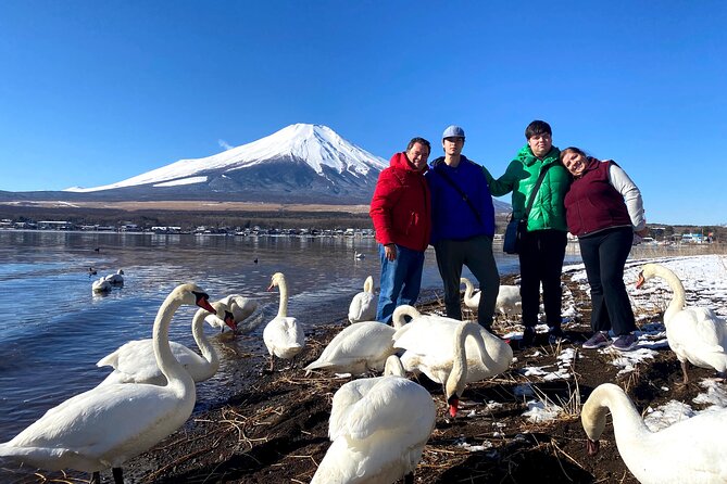 Full Day Tour to Mount Fuji in Spanish - Saiko Lake and the edge of Aokigahara
