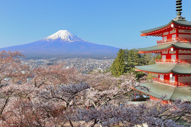 Full Day Tour to Mount Fuji in Spanish - Oshino Hakkai and traditional food