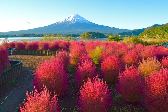 Full Day Tour to Mount Fuji in Spanish - Chureito Pagoda and Fujiyoshida’s symbol