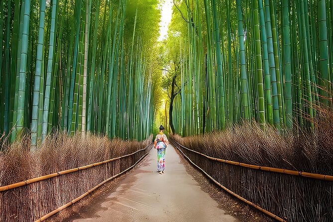 Fushimi Inari - Arashiyama: Torii Gates, Bamboo, Monkeys & Secret - Iwatayama Monkey Park, the day’s final climb