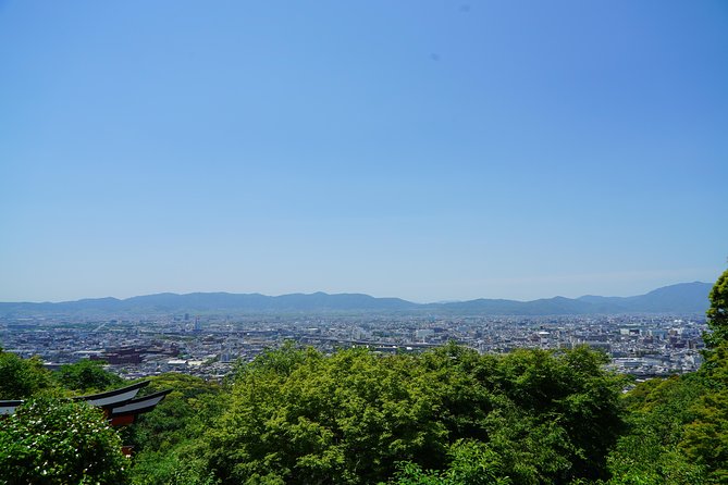 Fushimi Inari Hidden Hiking Tour (Private Option Available) - Reaching the torii gates from above