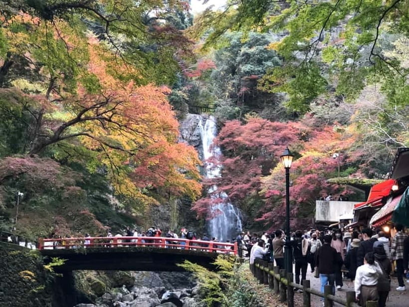 Get to know Minoo from Osaka. Katsuoji Temple, Ryuanji Waterfall and Ryuanji Temple - Starting at HEP FIVE and getting into the hills
