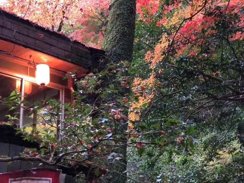 Get to know Minoo from Osaka. Katsuoji Temple, Ryuanji Waterfall and Ryuanji Temple - Is $76 good value?
