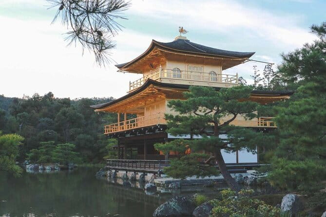 Guided Kyoto City Cherry Blossom One Day Private Tour - Kinkaku-ji and the Golden Pavilion