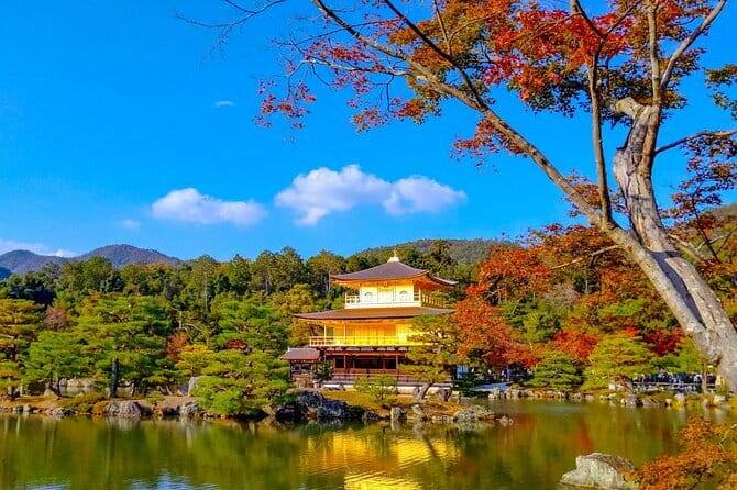 Guided Kyoto City Cherry Blossom One Day Private Tour - Fushimi Inari’s red torii gates