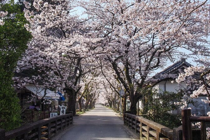 Hakata Old Town Walking Tour Tracing the True History of Fukuoka - A tea break at the 300-year-old Mitsuyasu Seikaen