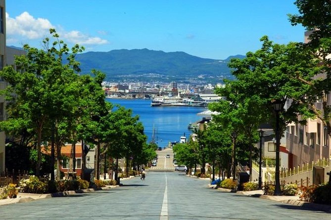 Hakodate 6hr Private Tour with Government-Licensed Guide - A personal route through Hakodate’s two faces