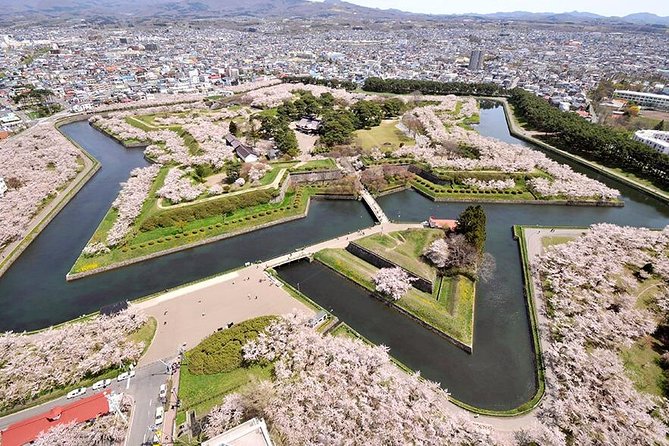 Hakodate 6hr Private Tour with Government-Licensed Guide - Goryokaku explains Hakodate’s final samurai chapter