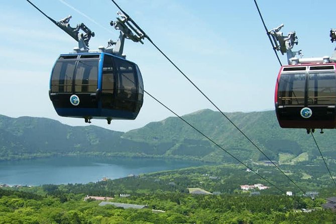 Hakone 6 hour Private Tour with Government-Licensed Guide - Riding the Hakone Ropeway to Owakudani