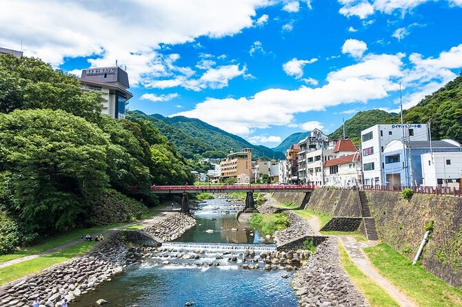 Hakone 6 hour Private Tour with Government-Licensed Guide - Sengokuhara, Choanji Temple, and wetland plants