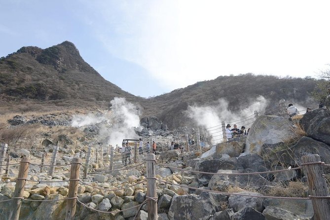 Hakone Full-Day Private Tour(Tokyo DEP.) with Government-Licensed Guide - Ropeway and Owakudani: Hakone’s volcanic heart