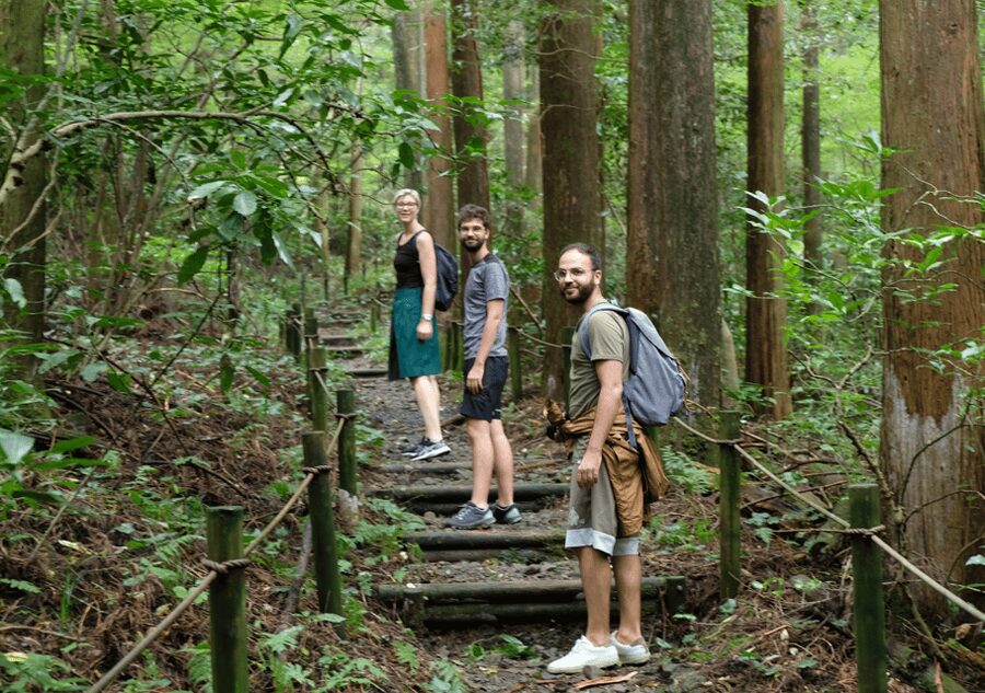 Hakone Hachiri: Old Tokaido Highway Hiking Tour - Key points to know before booking
