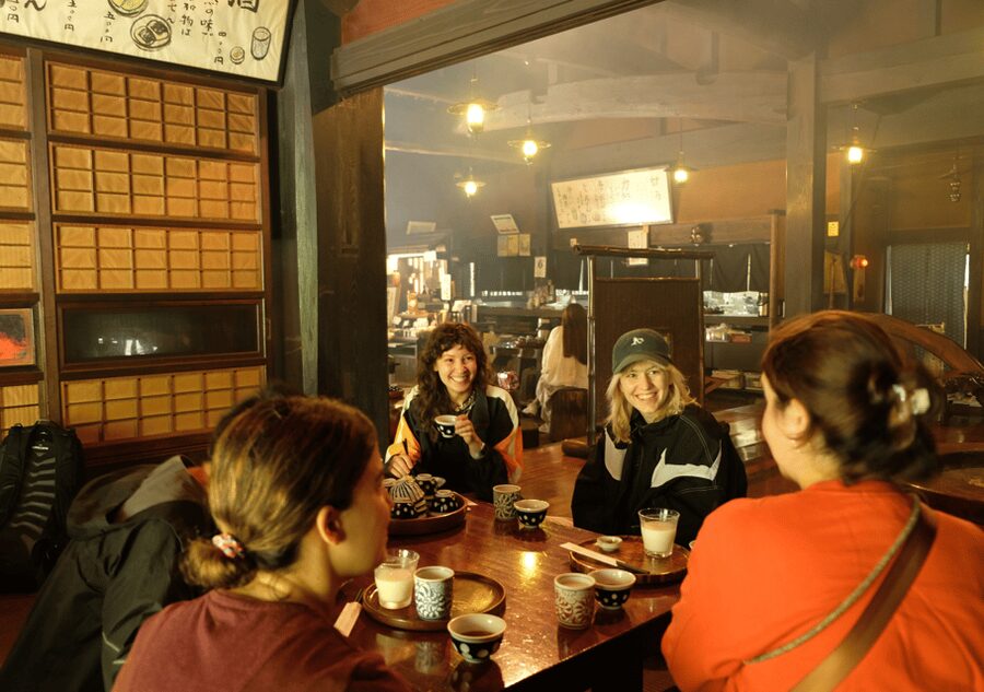 Hakone Hachiri: Old Tokaido Highway Hiking Tour - Cobbled Tokaido stones and Lake Ashi