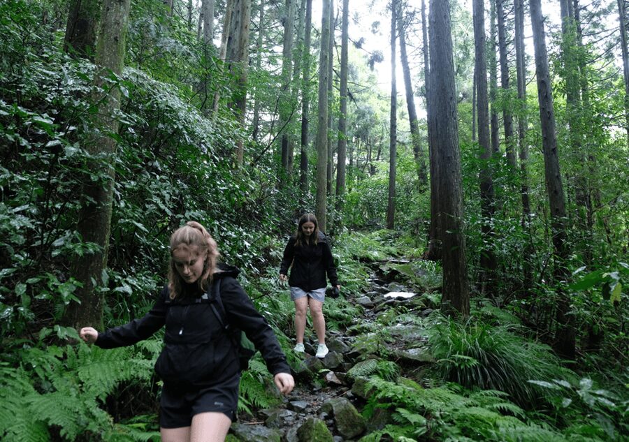 Hakone Hachiri: Old Tokaido Highway Hiking Tour - Crossing Hakone Pass and visiting castle ruins