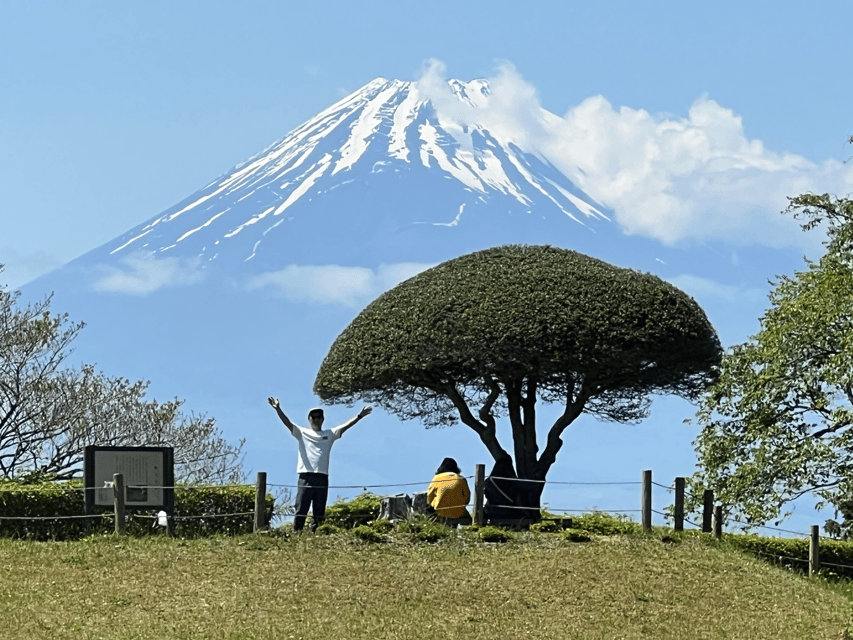 Hakone Hachiri: Old Tokaido Highway Hiking Tour - From Hakone-Yumoto to the first forest paths