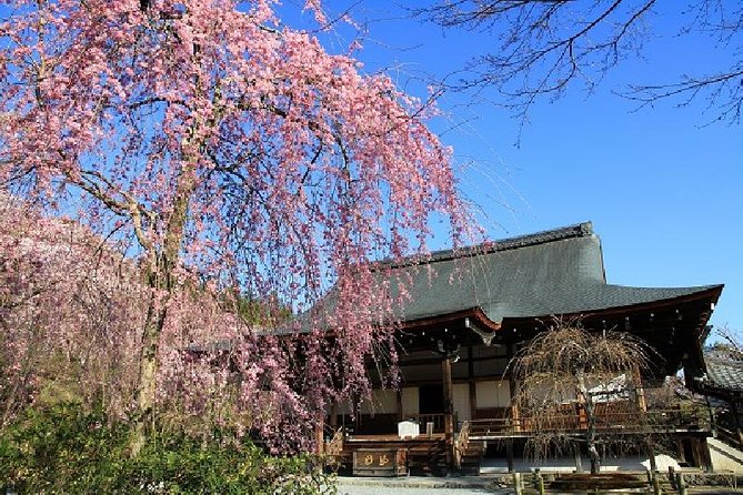 Half Day Kyoto Sagano Bamboo Grove & Arashiyama Walking Tour - Walking through the Sagano bamboo grove