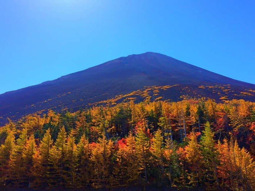 Halfway Up Mt,Fuji, Oshino Hakkai, Kawaguchiko from Tokyo - Starting in Tokyo and getting the timing right