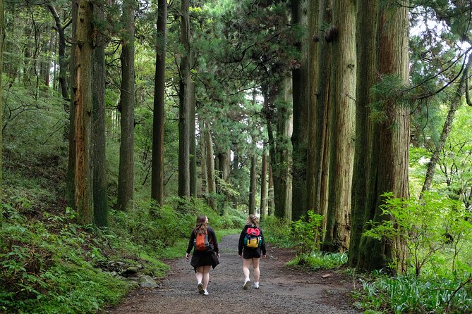 Hike Japan Heritage Hakone Hachiri (Half Day) - Starting at Hakone-Yumoto and entering the forest
