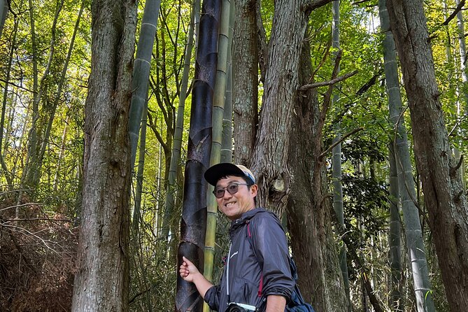 Hike Japan Heritage Hakone Hachiri with certified mountain guide - Skipping a closed section by local bus