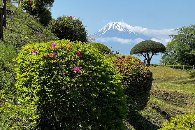 Hike Japan Heritage Hakone Hachiri with certified mountain guide - Yamanaka Castle Ruins on the Hachiri path