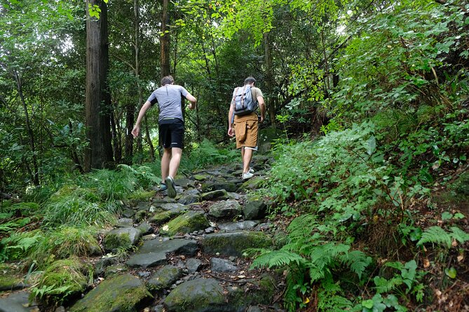 Hike Japan Heritage Hakone Hachiri with certified mountain guide - Finishing at Mishima Taisha and Genbe River