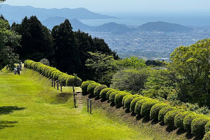Hike Japan Heritage Hakone Hachiri with certified mountain guide - What the 158.52 dollar price really covers