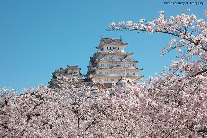 Himeji Castle and Akashi Kaikyo Bridge Walking Tour from Kyoto - The return to Kyoto takes time