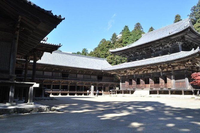 Himeji Half-Day Private Tour with Government-Licensed Guide - The four-hour format rewards a clear plan