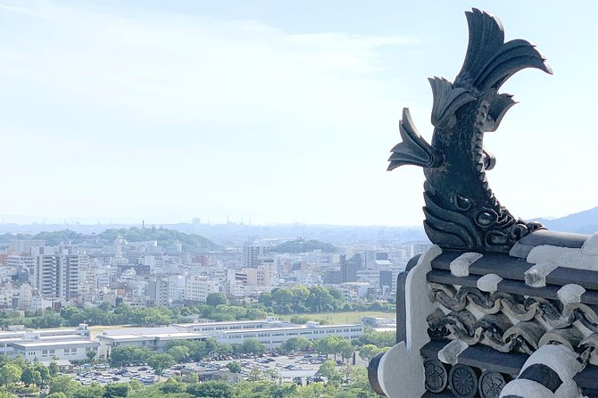 Himeji Half-Day Private Tour with Government-Licensed Guide - What the price really includes