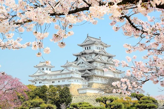Himeji Half-Day Private Tour with Government-Licensed Guide - Practical details that affect your day