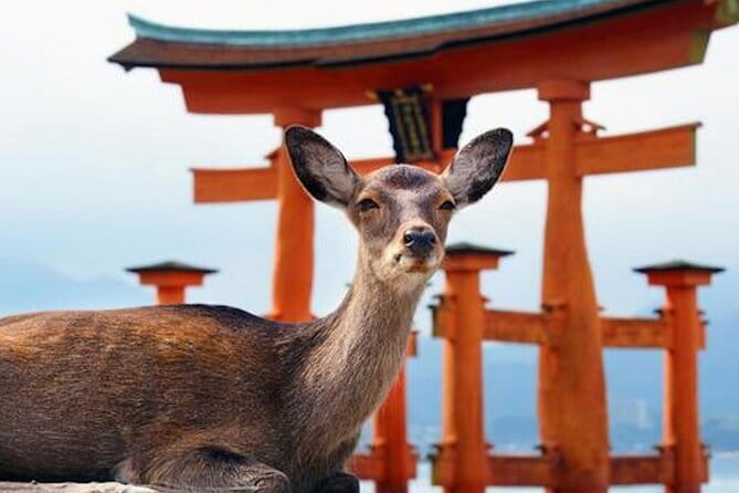 Hiroshima and Miyajima Private Custom Tour with Local Guide - At a glance: what makes this day useful
