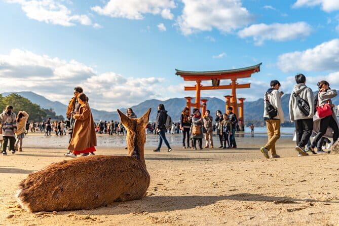 Hiroshima: Atomic Bomb Dome and Peace Memorial Museum 3 hours - Who will get the most from this experience?