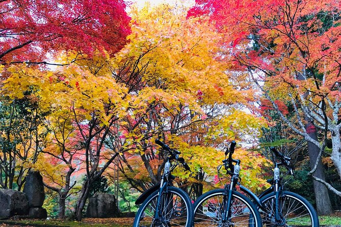 Hiroshima Country Cycling: Explore Rural Life 1 HR from City - E-Bikes Turn Hills into Part of the Fun